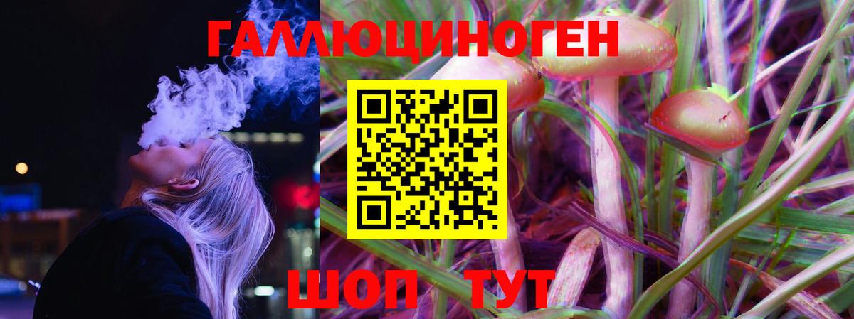 Галлюциногенные грибы Psilocybe  Вход с VPN  Кингисепп 